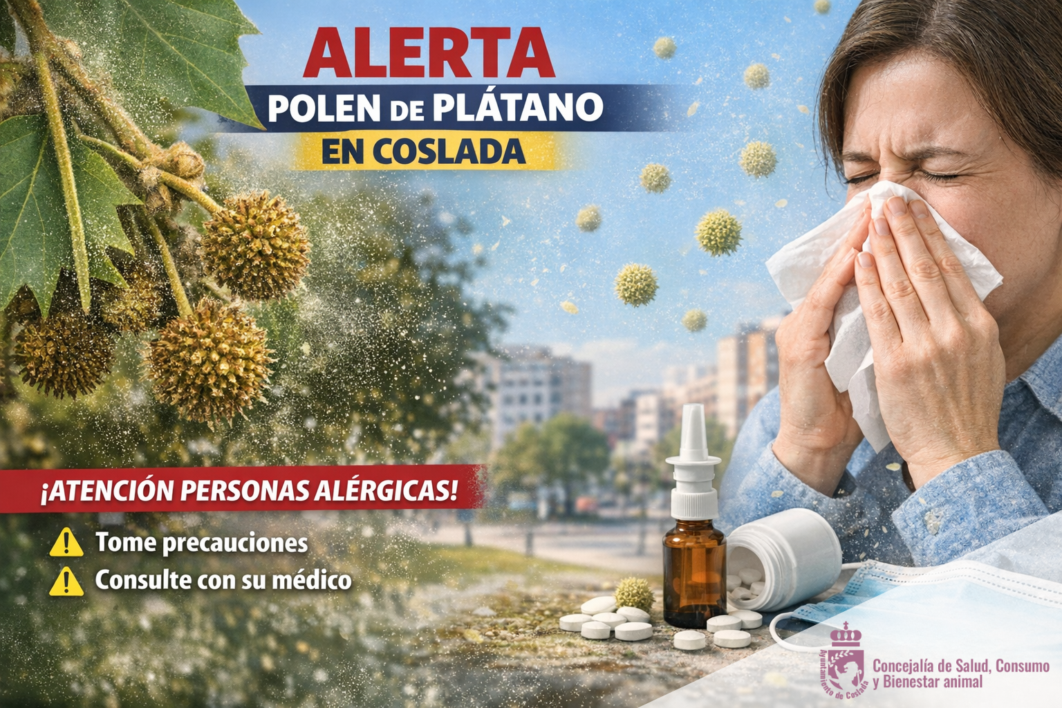 Coslada informa del inicio inminente de la polinización del plátano de paseo y recomienda precaución a las personas alérgicas